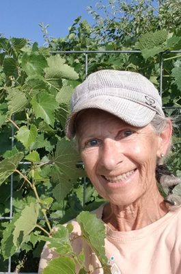 Linda Ilg among the raspberry canes